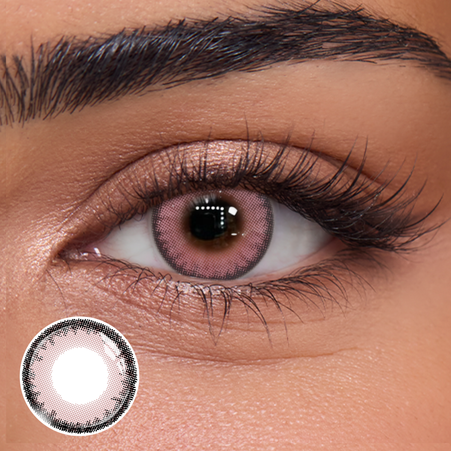 Dahlia Pink - 1 Day, 10pcs