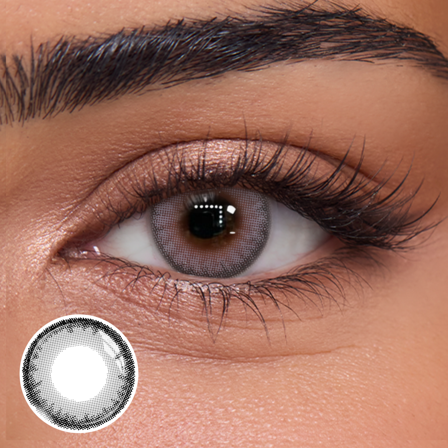 Frosted Grey - 1 Day, 10pcs