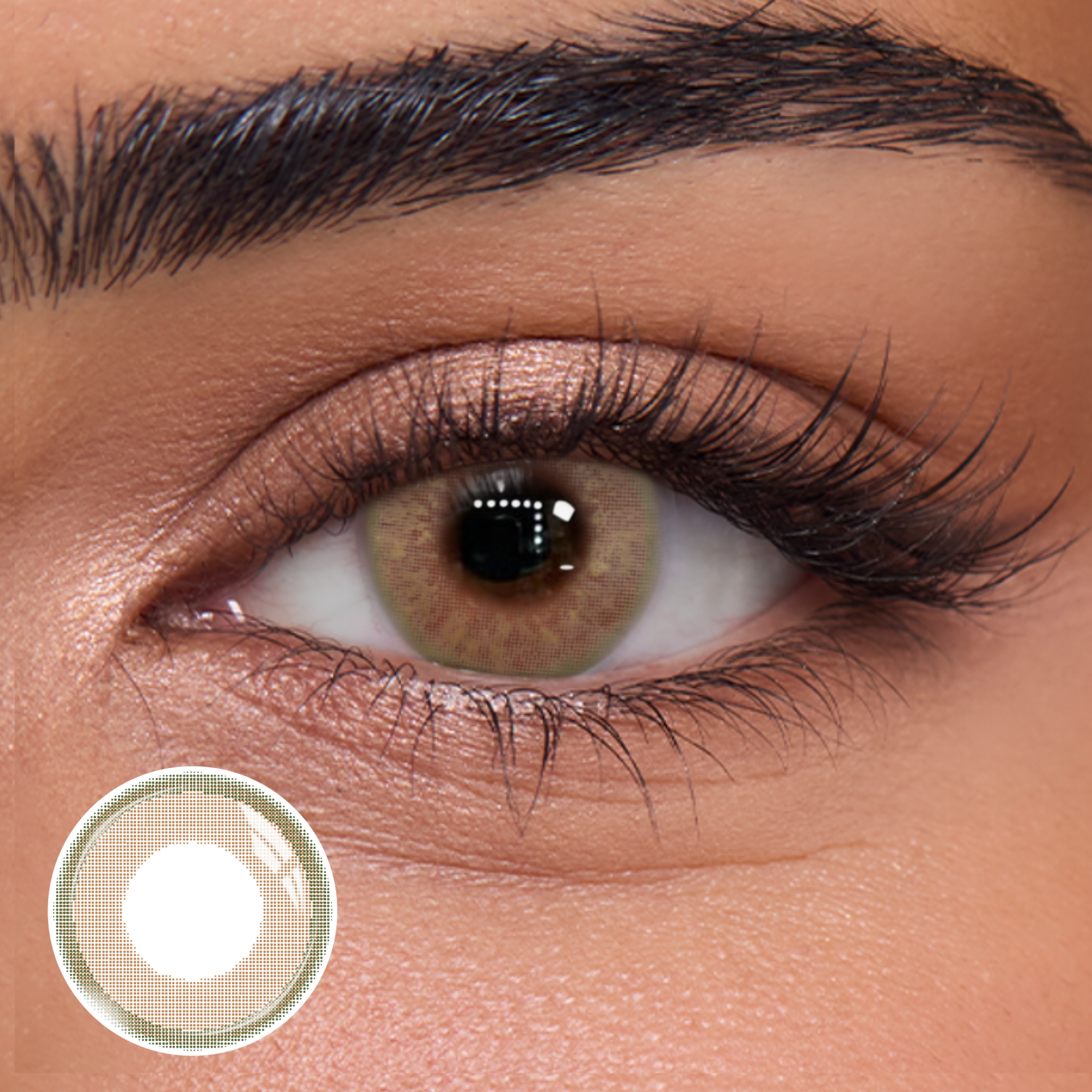 Fresca Brown-Green - 1 Day, 10pcs