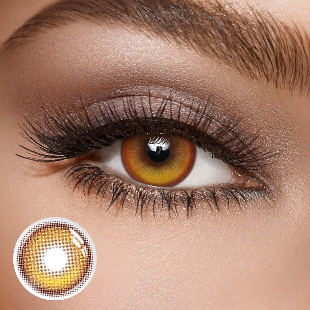 Torchlight Brown - 6-month，2 lenses