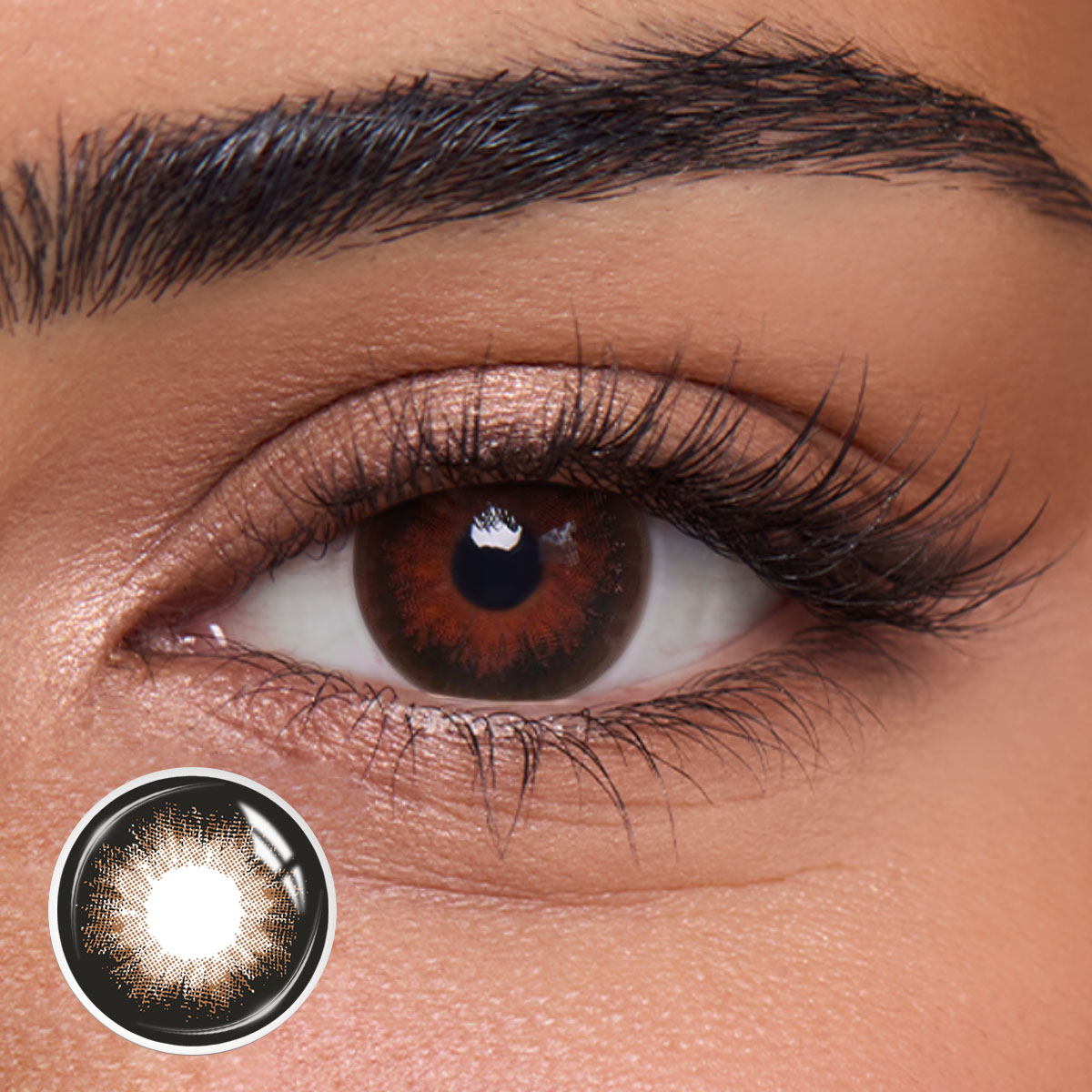 Gleglow Close-Up Social Kit 1 (4 Pairs)