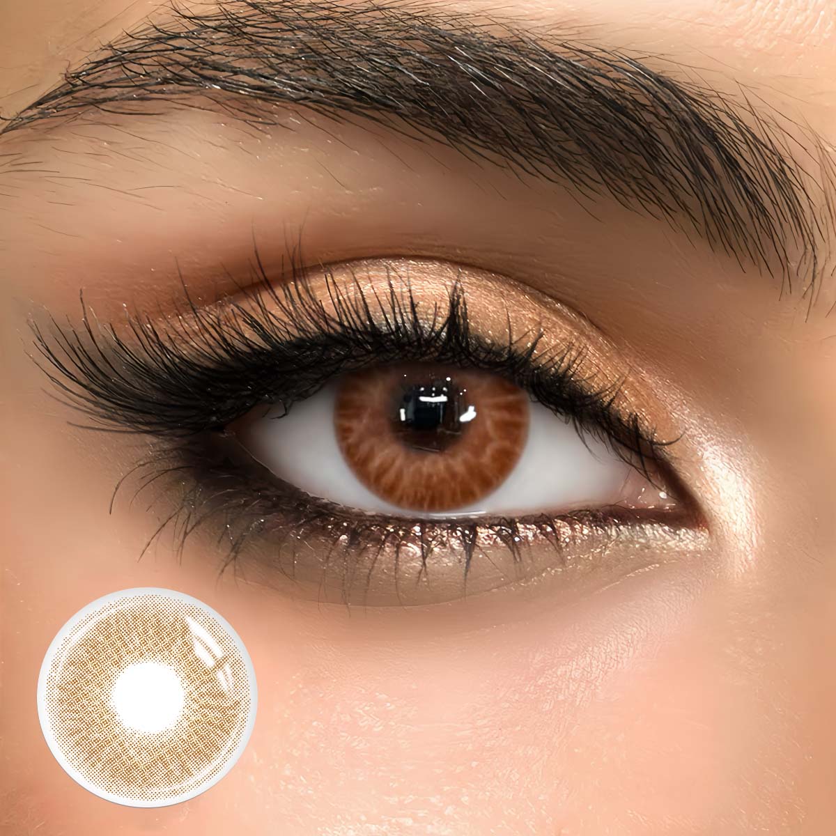 Elf Iris Brown - 1 Year, 2 lenses Colored Contacts - Gleglow