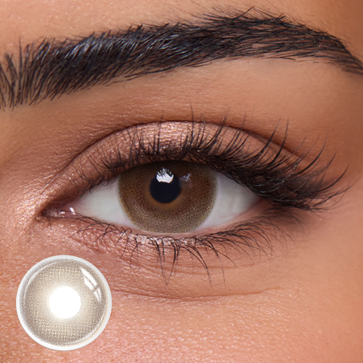 Tosel Brown - 1 Year, 2 lenses Colored Contacts - Gleglow