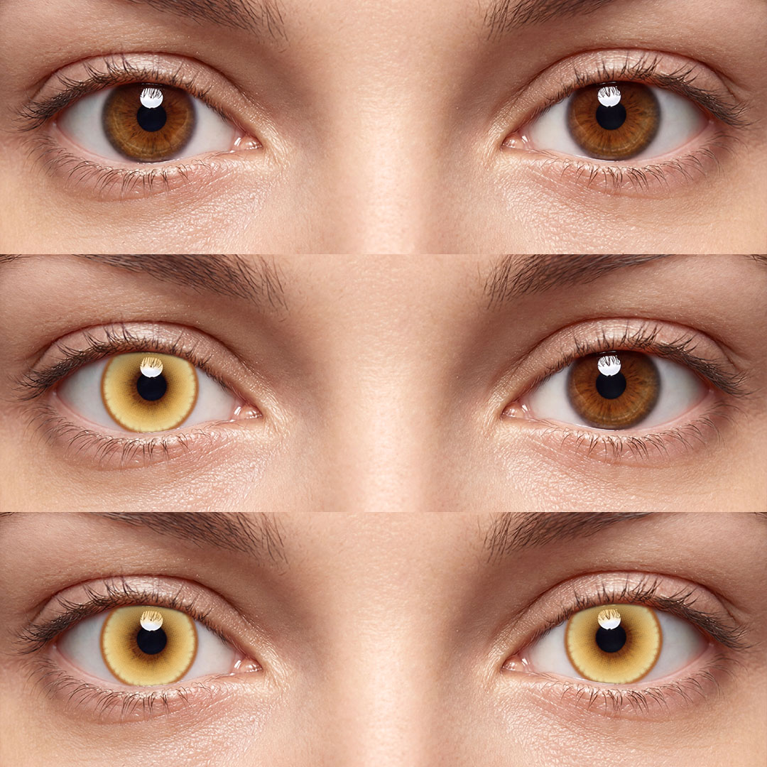 Aeon Brown - 1 Year, 2 lenses