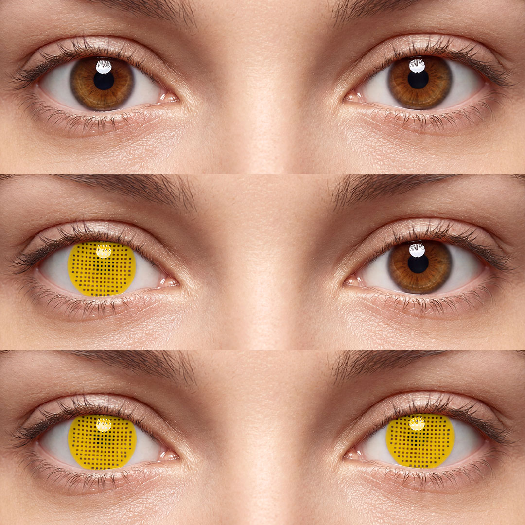 Screen Brown - 1 Year, 2 lenses