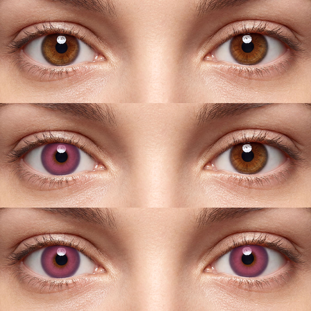 Lapis Purple - 1 Year, 2 lenses