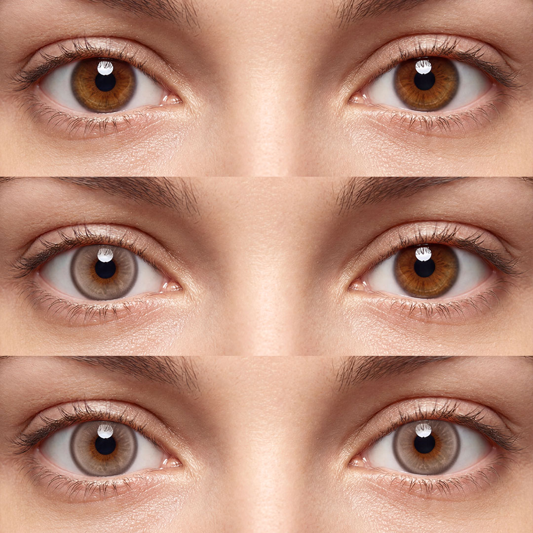 Zephyris Chocolate - 1 Year, 2 lenses