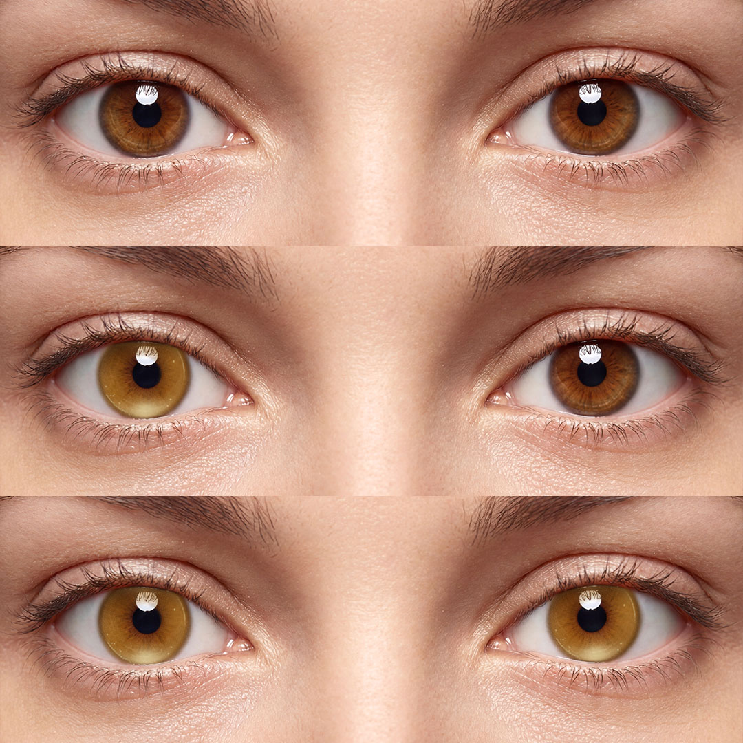 Titan Brown - monthly, 2 lenses