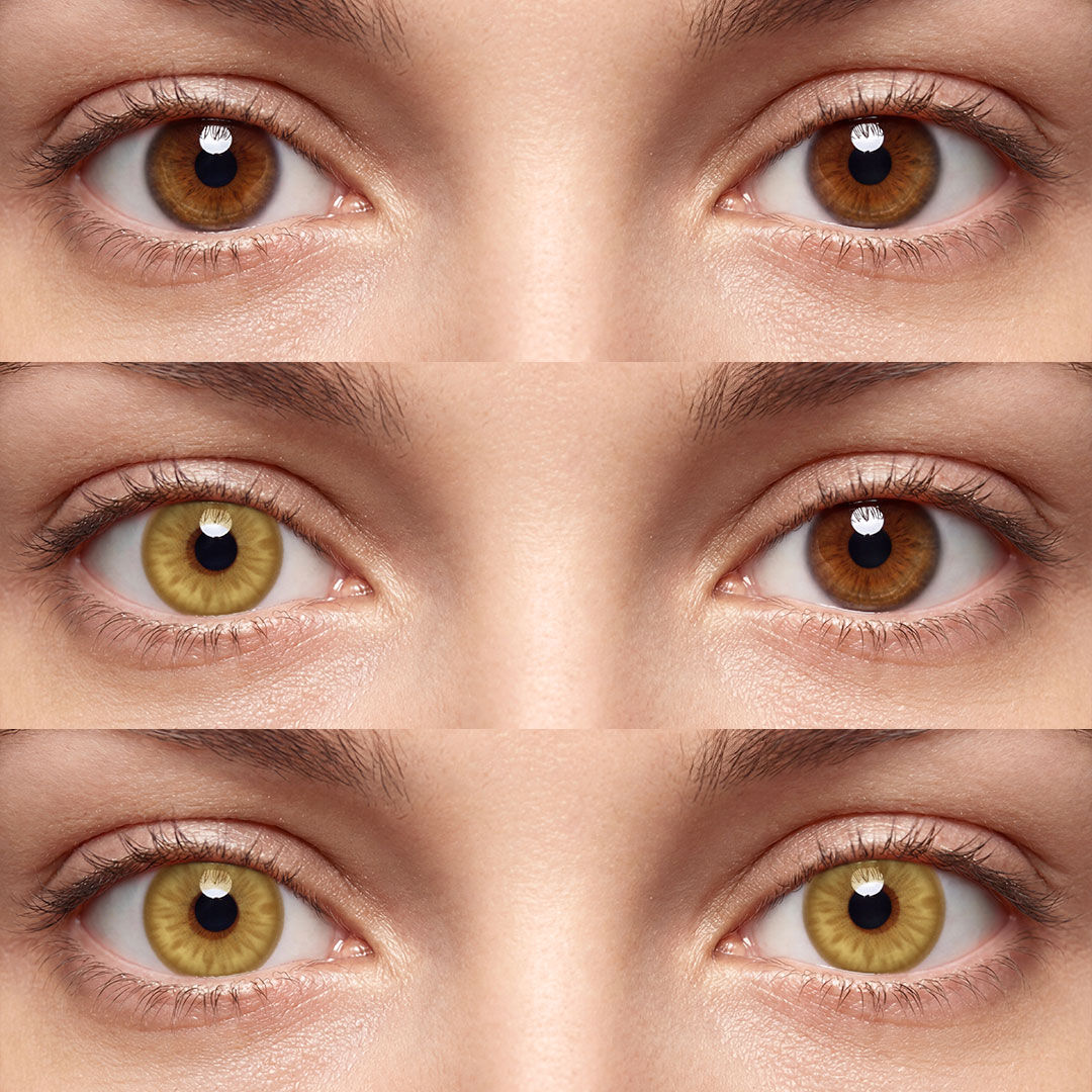 Fritillary Brown - 1 Year, 2 lenses