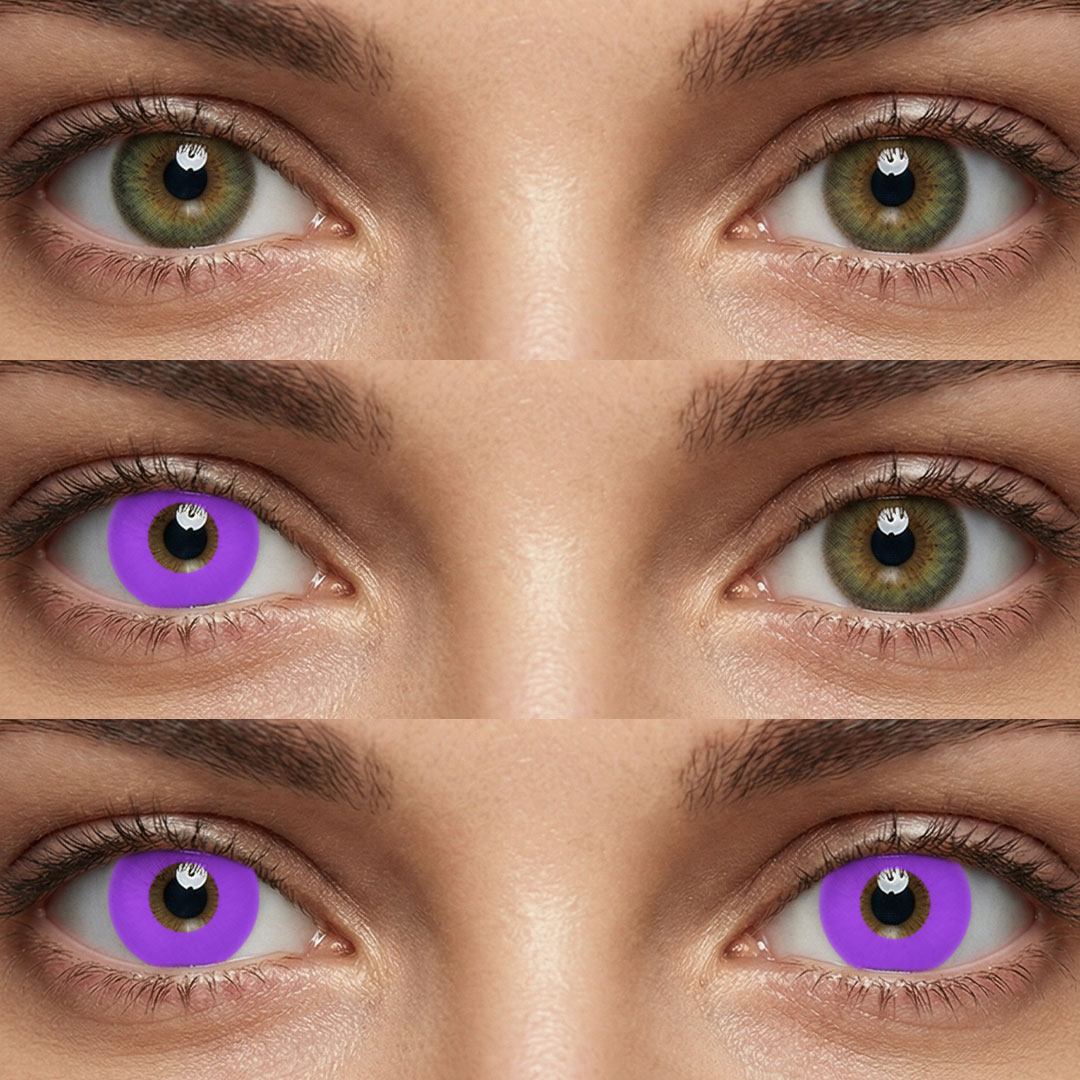 Blank Purple - 1 Year, 2 lenses
