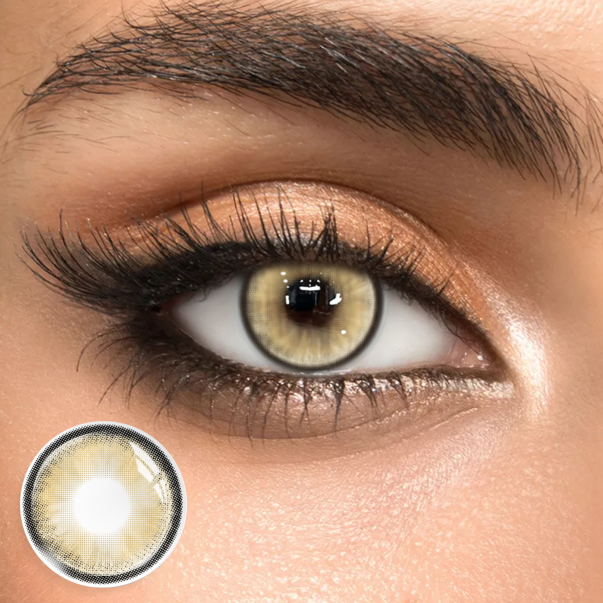 Brizo Brown - 1 Year, 2 lenses