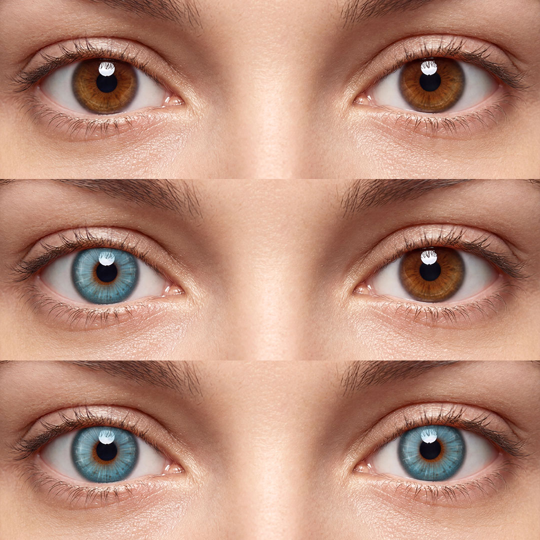 Peacock Blue - 1 Year, 2 lenses
