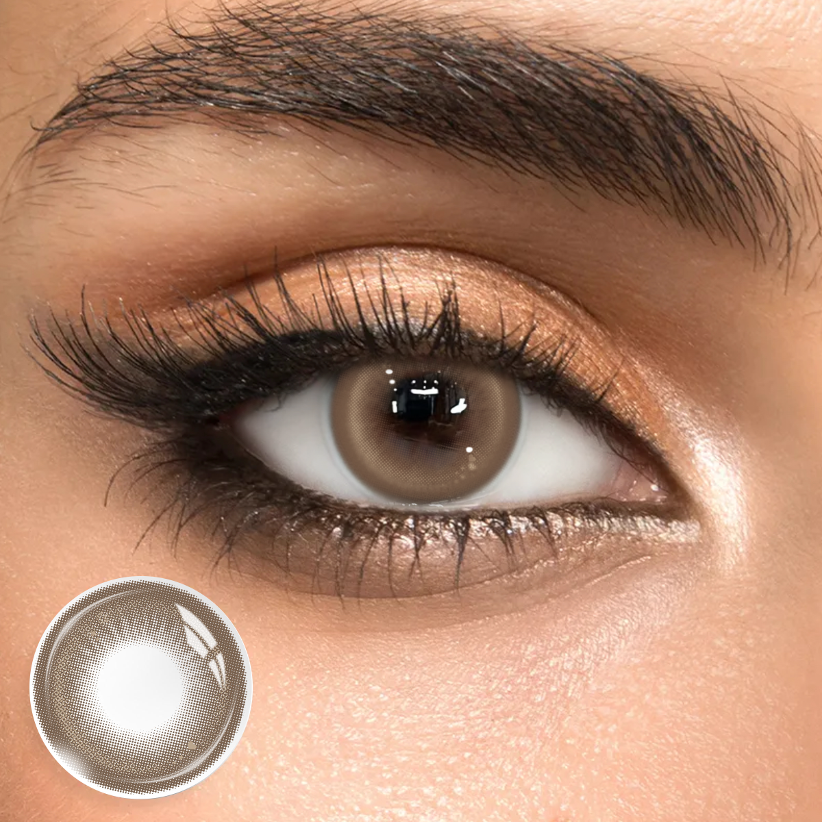 Eventide Chocolate - 1 Year, 2 lenses