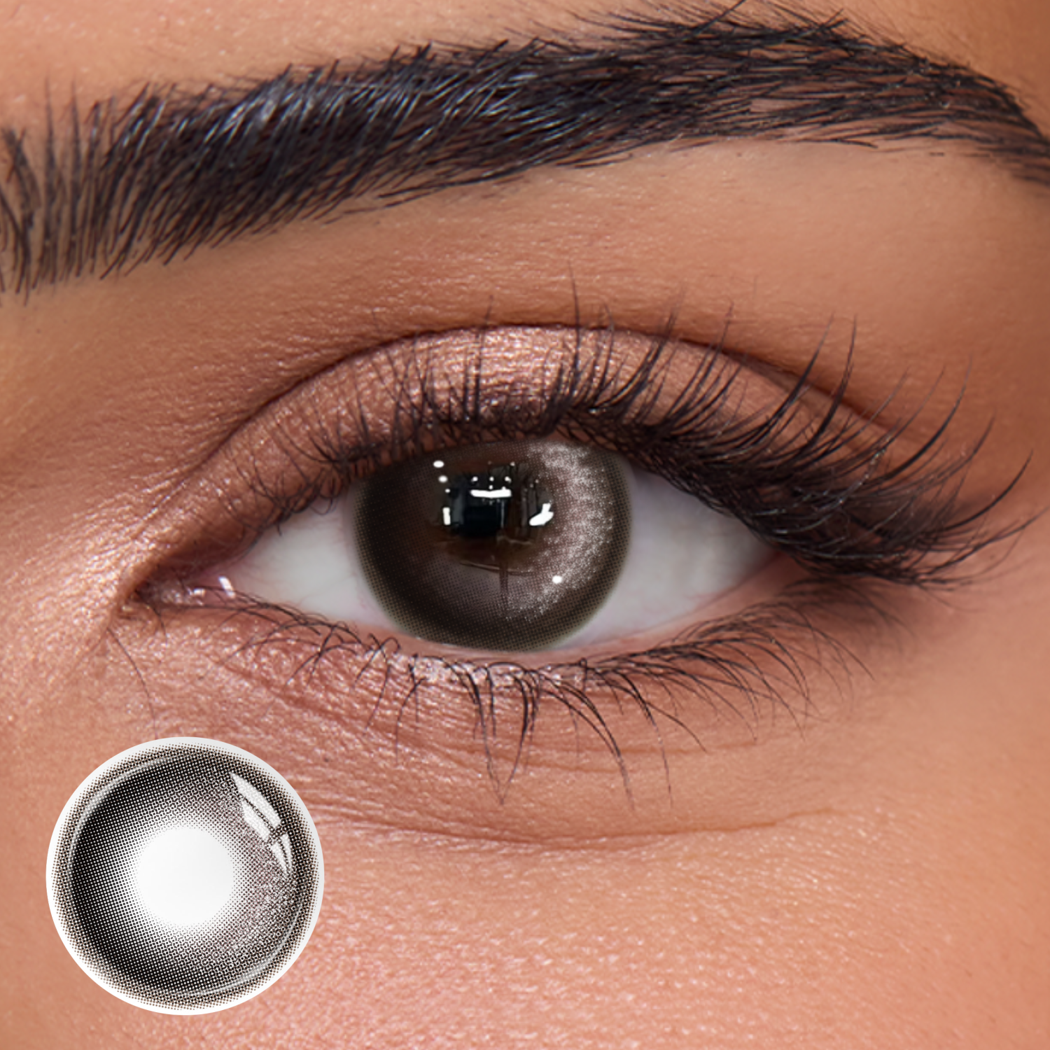 Glister Black - 1 Year, 2 lenses