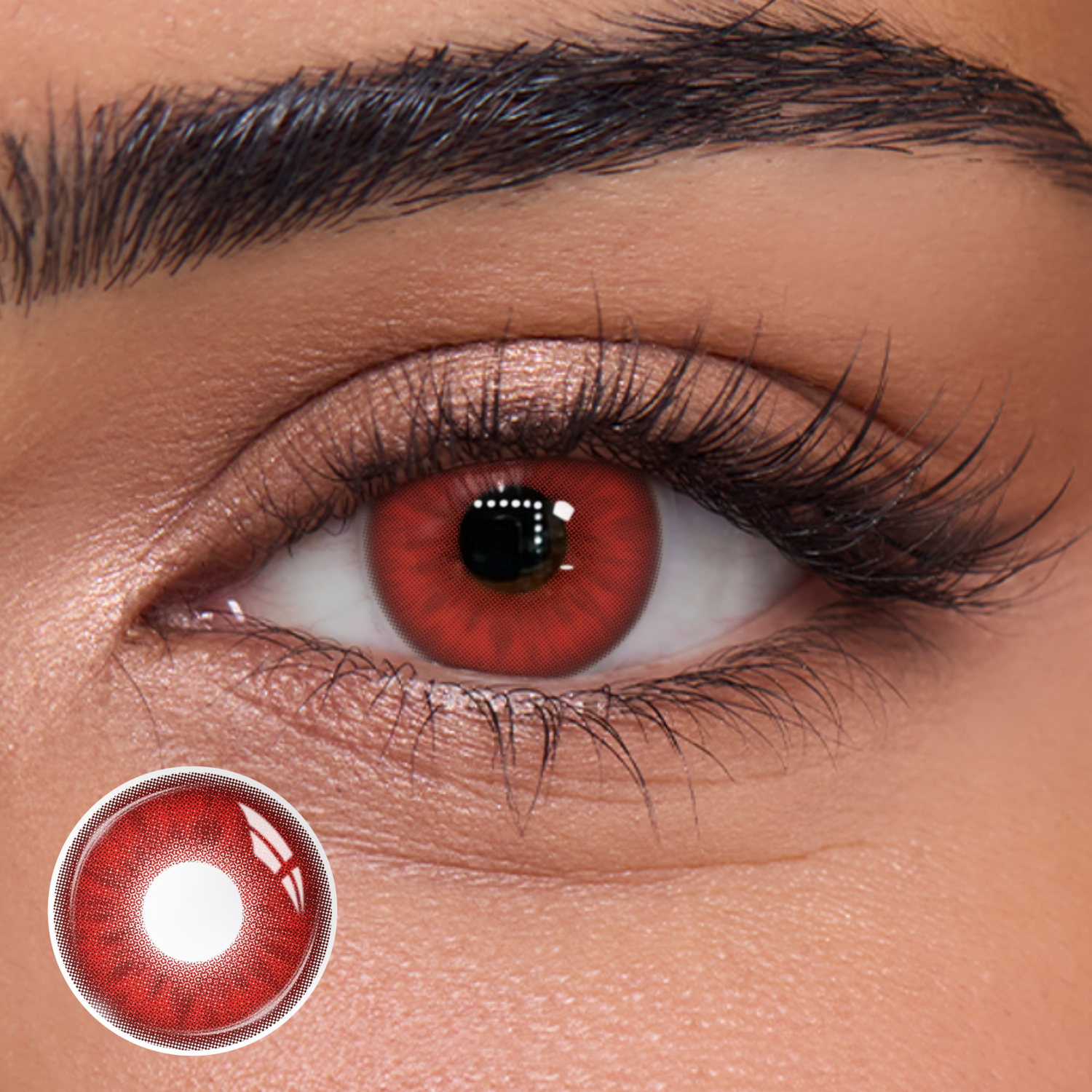 Fritillary Red - 1 Year, 2 lenses