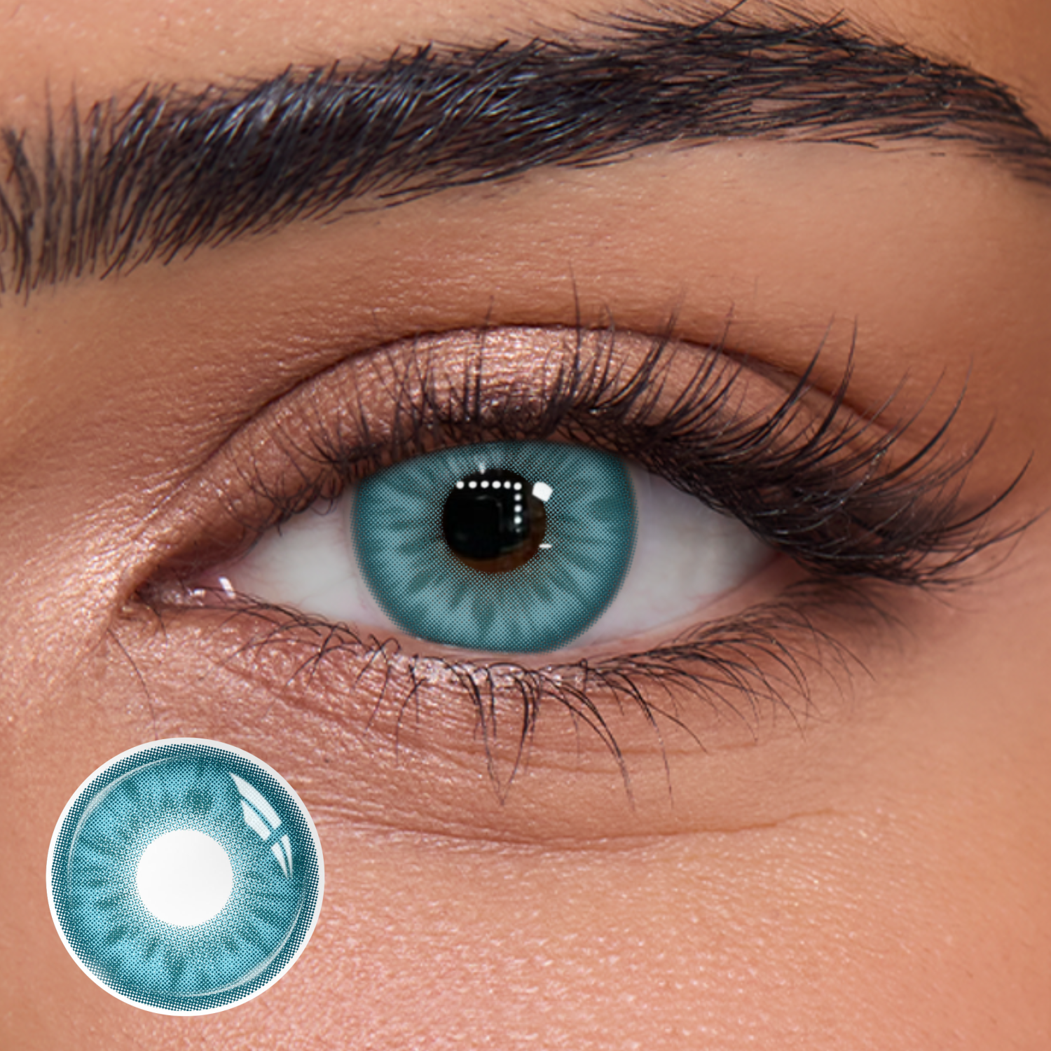 Fritillary Blue - 1 Year, 2 lenses