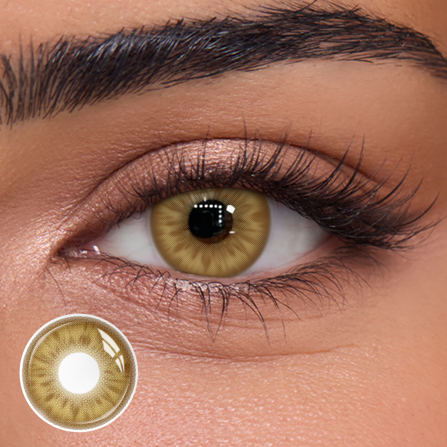 Fritillary Brown - 1 Year, 2 lenses