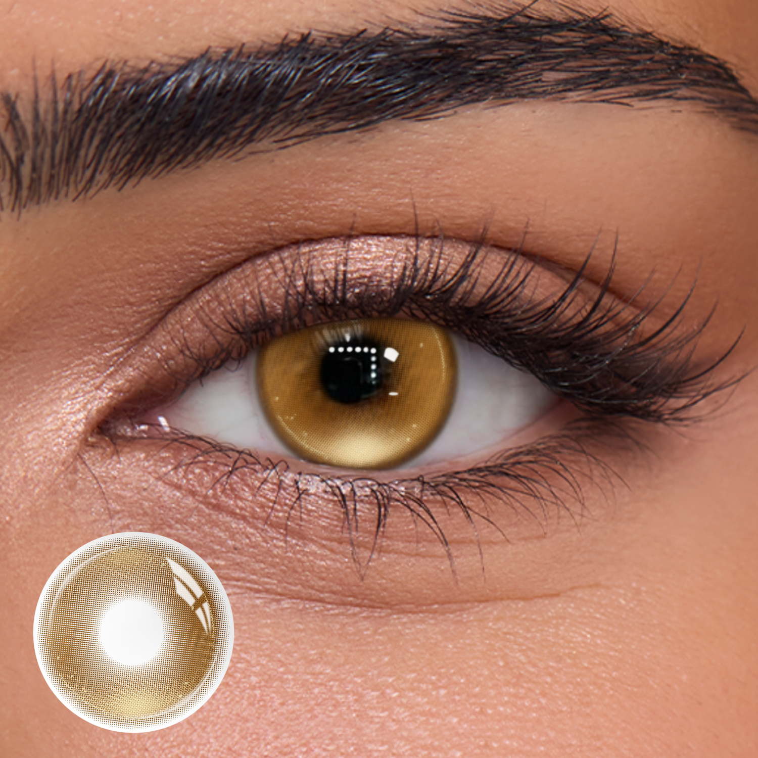 Titan Brown - 1 Year, 2 lenses