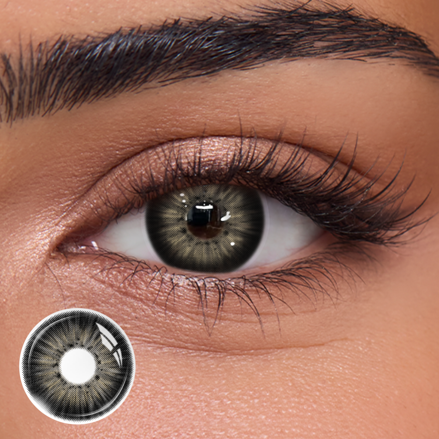 New York III Black - 1 Year, 2 lenses