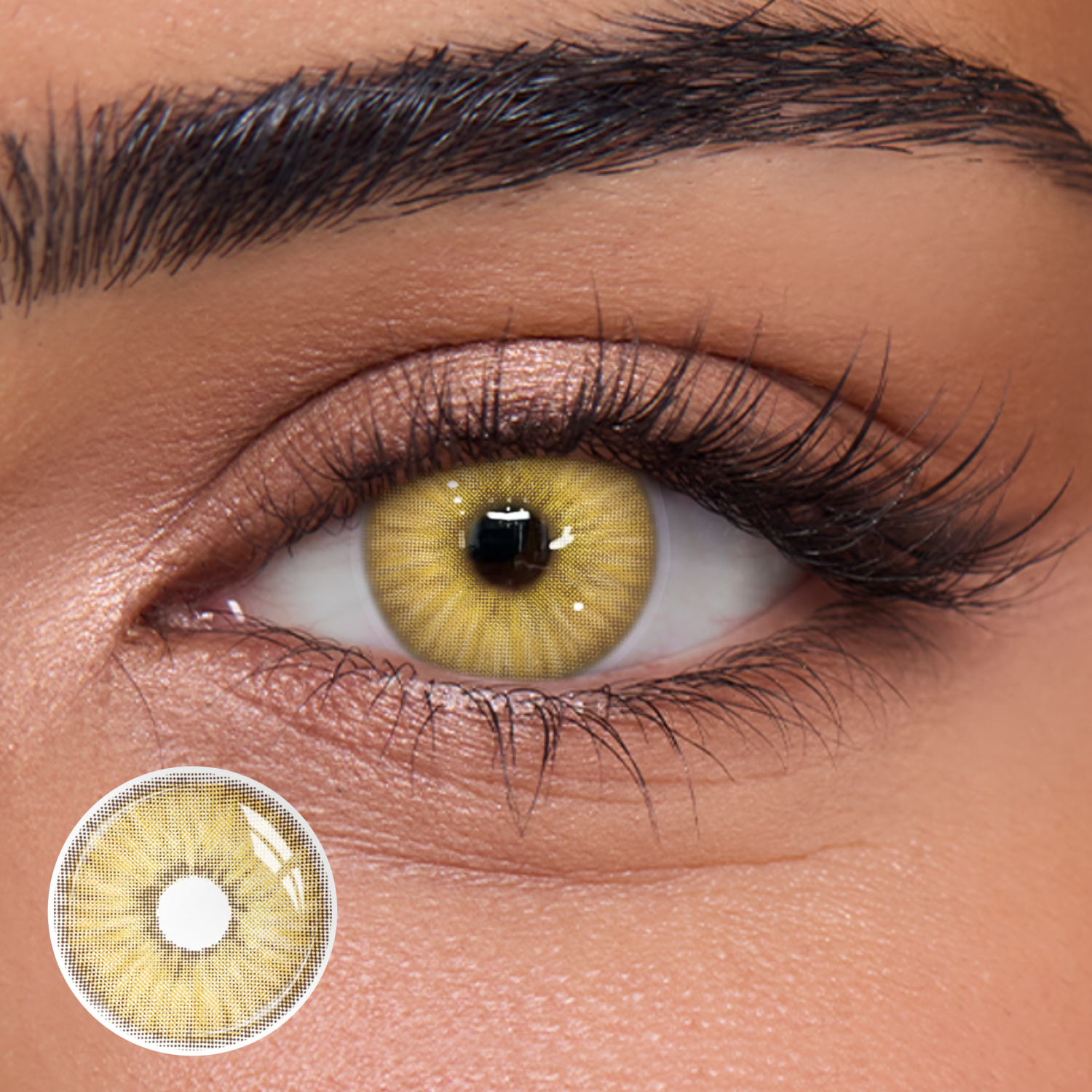 Gloaming Brown - 1 Year, 2 lenses