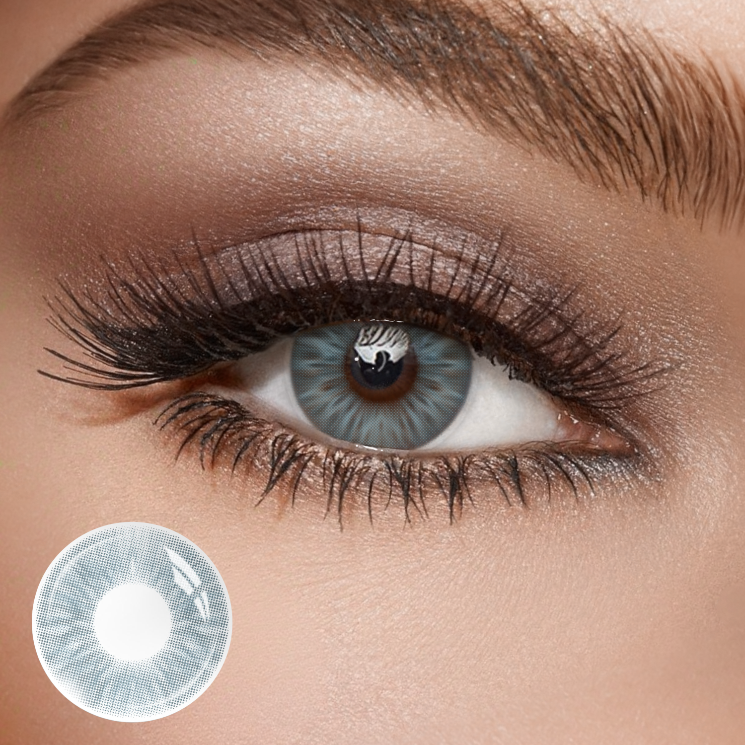 Shinea Blue - 1 Year, 2 lenses