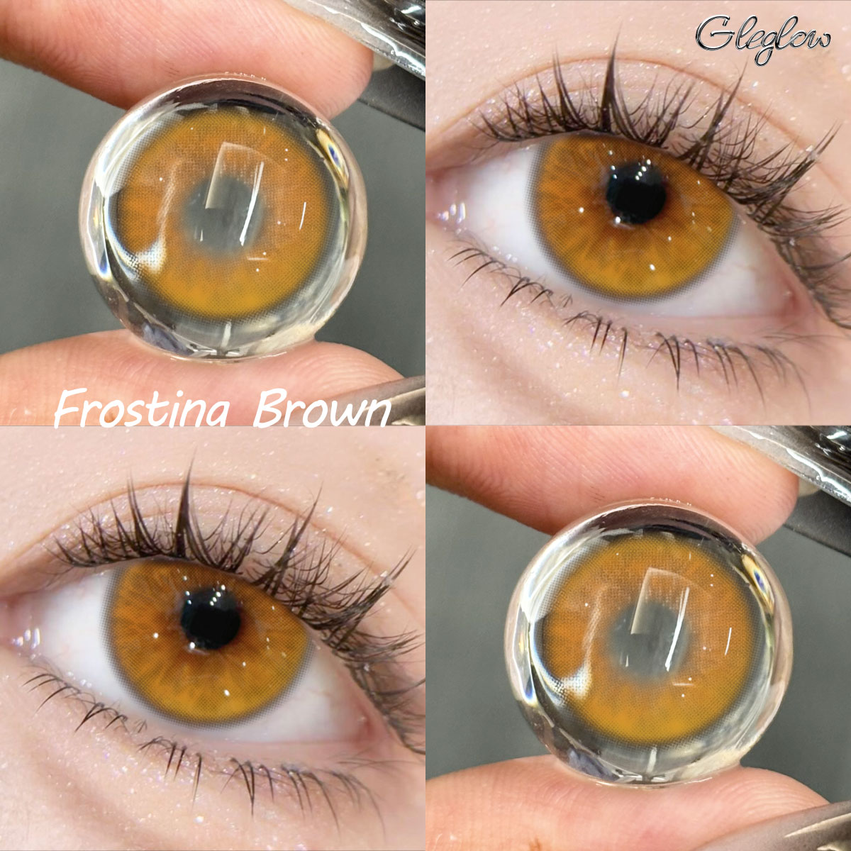 Frostina Brown - 1 Year, 2 lenses Colored Contacts - Gleglow