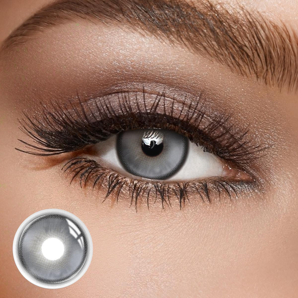 Shard Black - 1 Year, 2 lenses