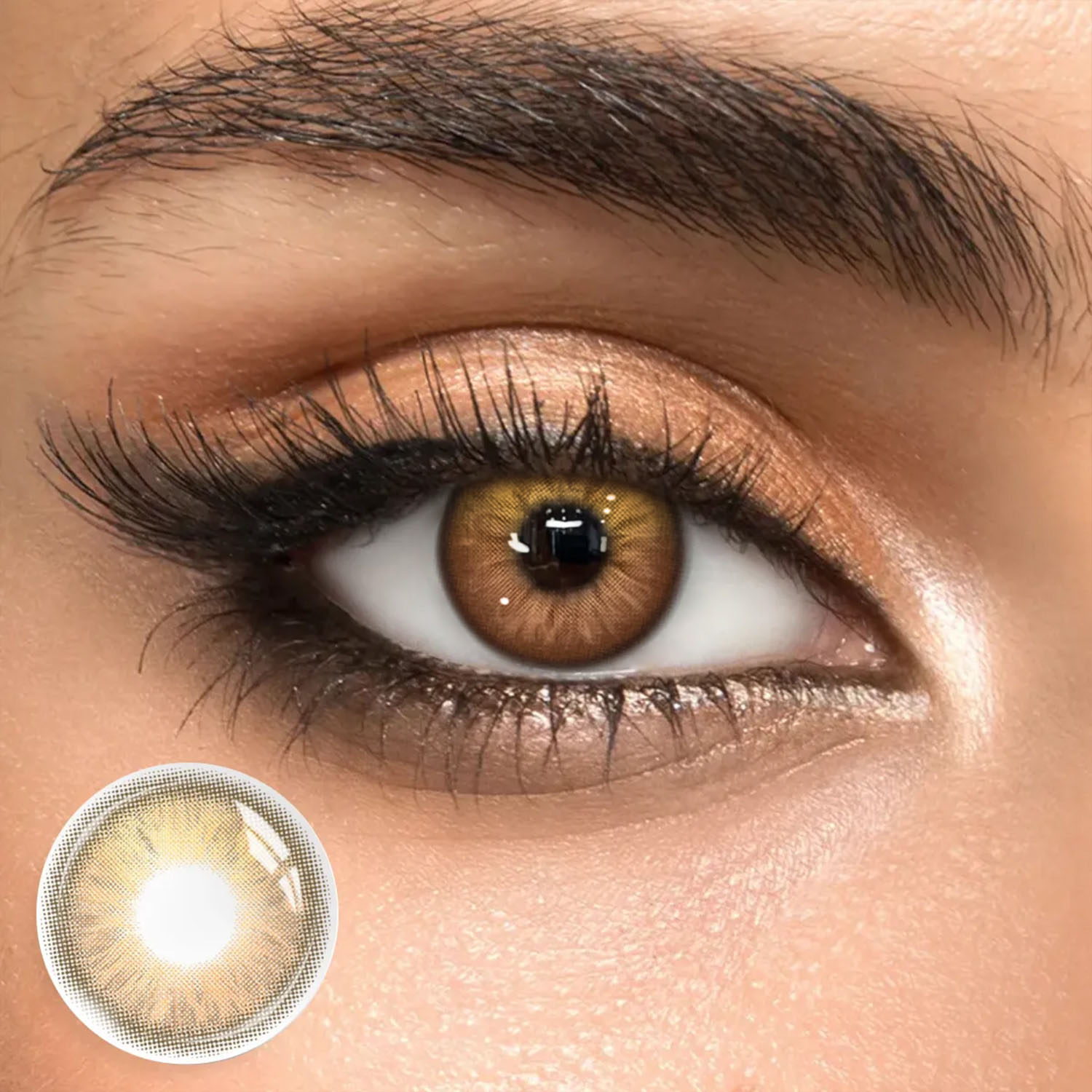 Adoring Brown - 1 Year, 2 lenses