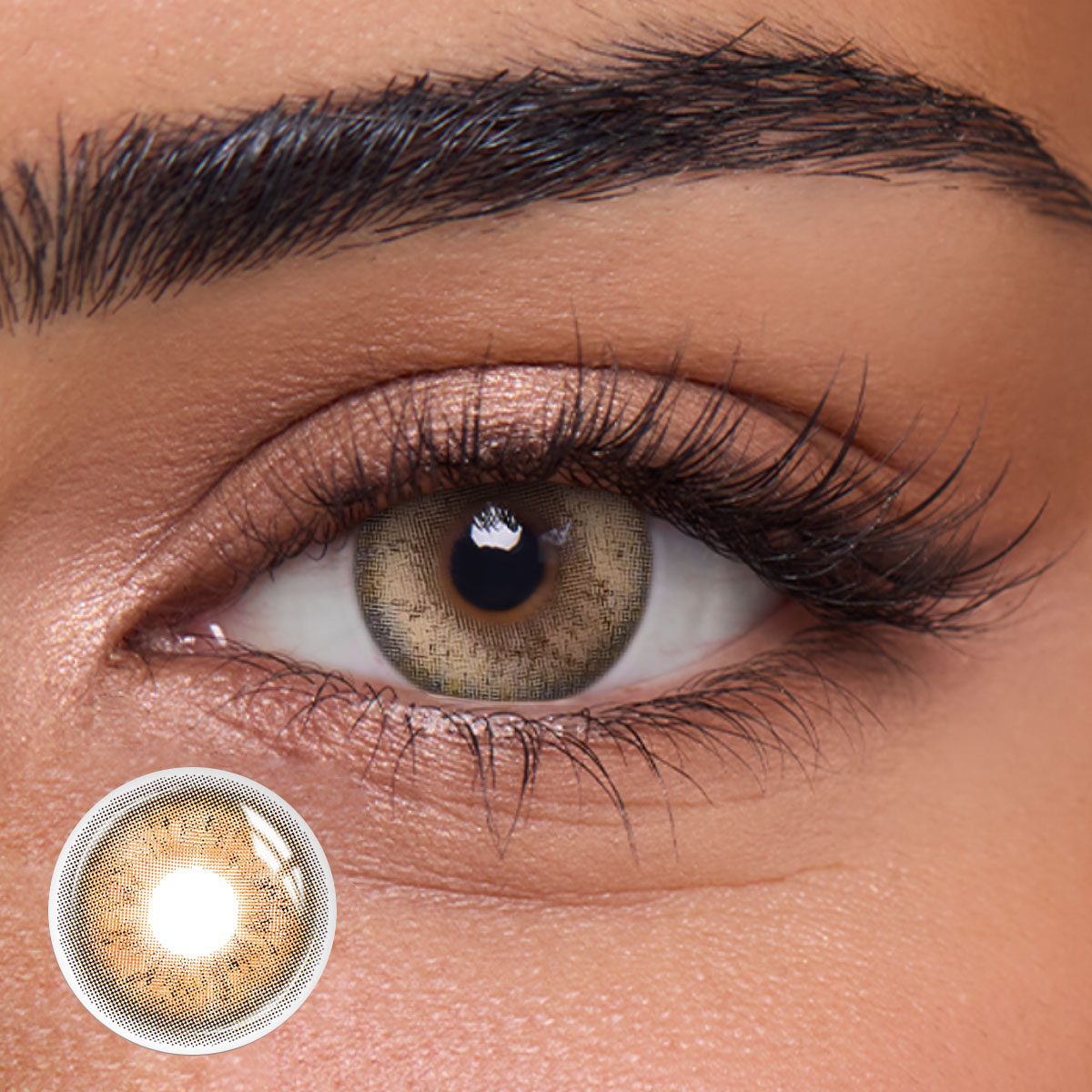 Icebound Brown - 1 Year, 2 lenses