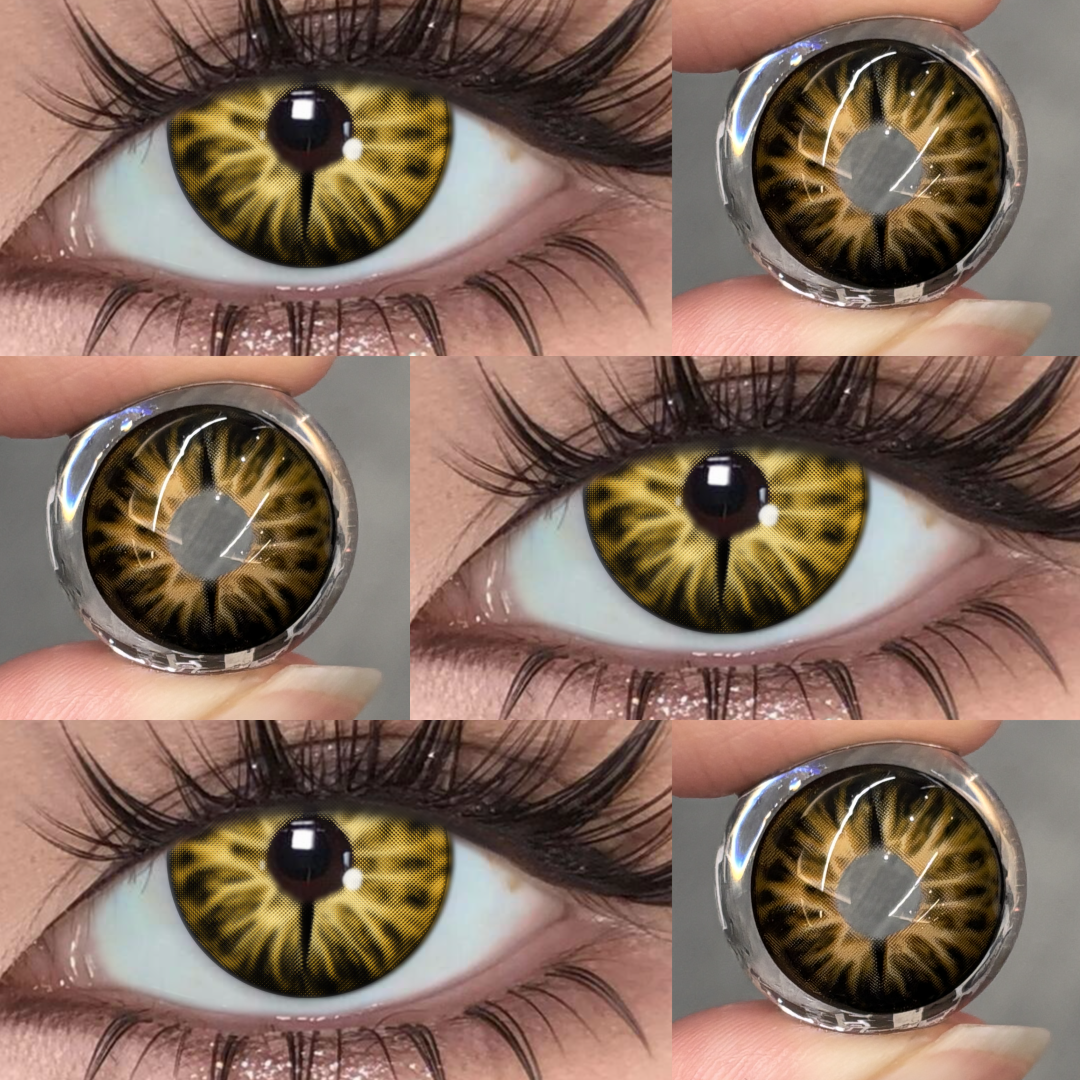 Snake Gaze Brown - 1 Year, 2 lenses