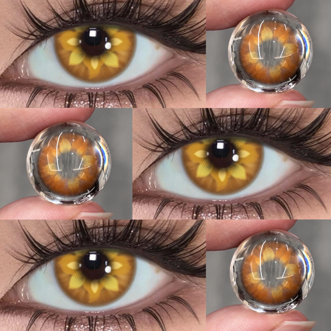 Clovian Brown - 6-month，2 lenses Colored Contacts - Gleglow