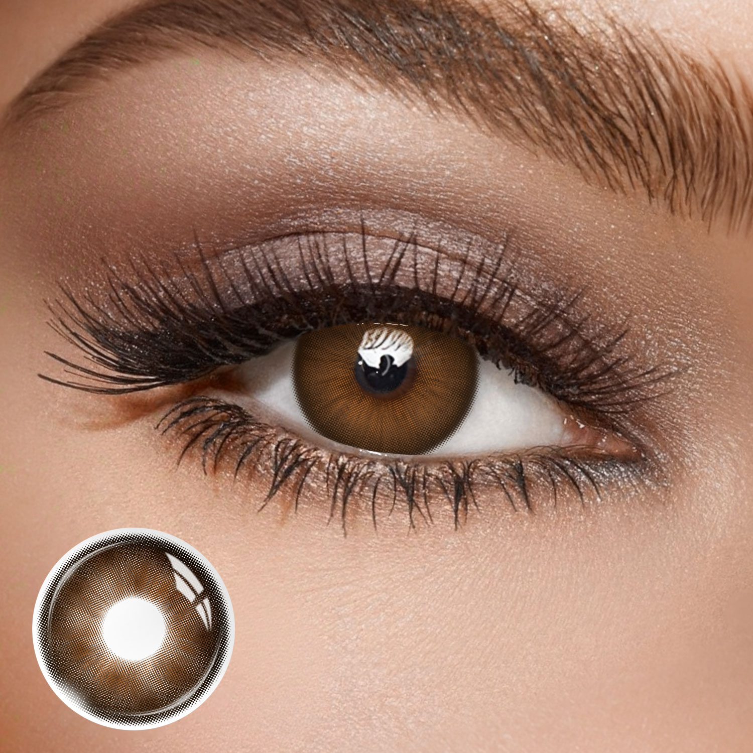 Audrey Chocolate - monthly, 2 lenses