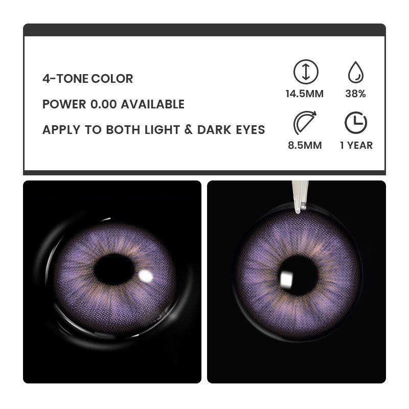 Audrey Purple - 1 Year, 2 lenses