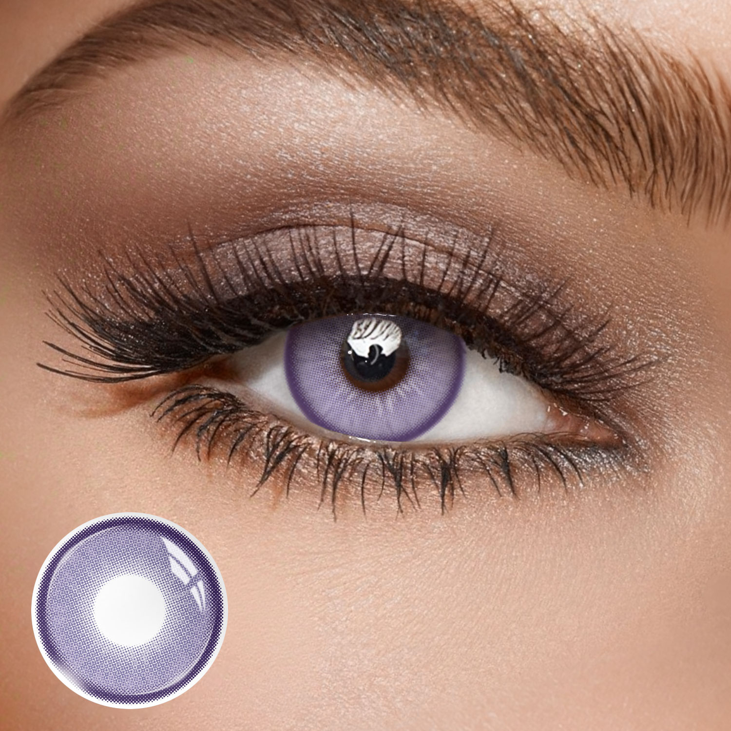 Beagan Purple - 1 Year, 2 lenses