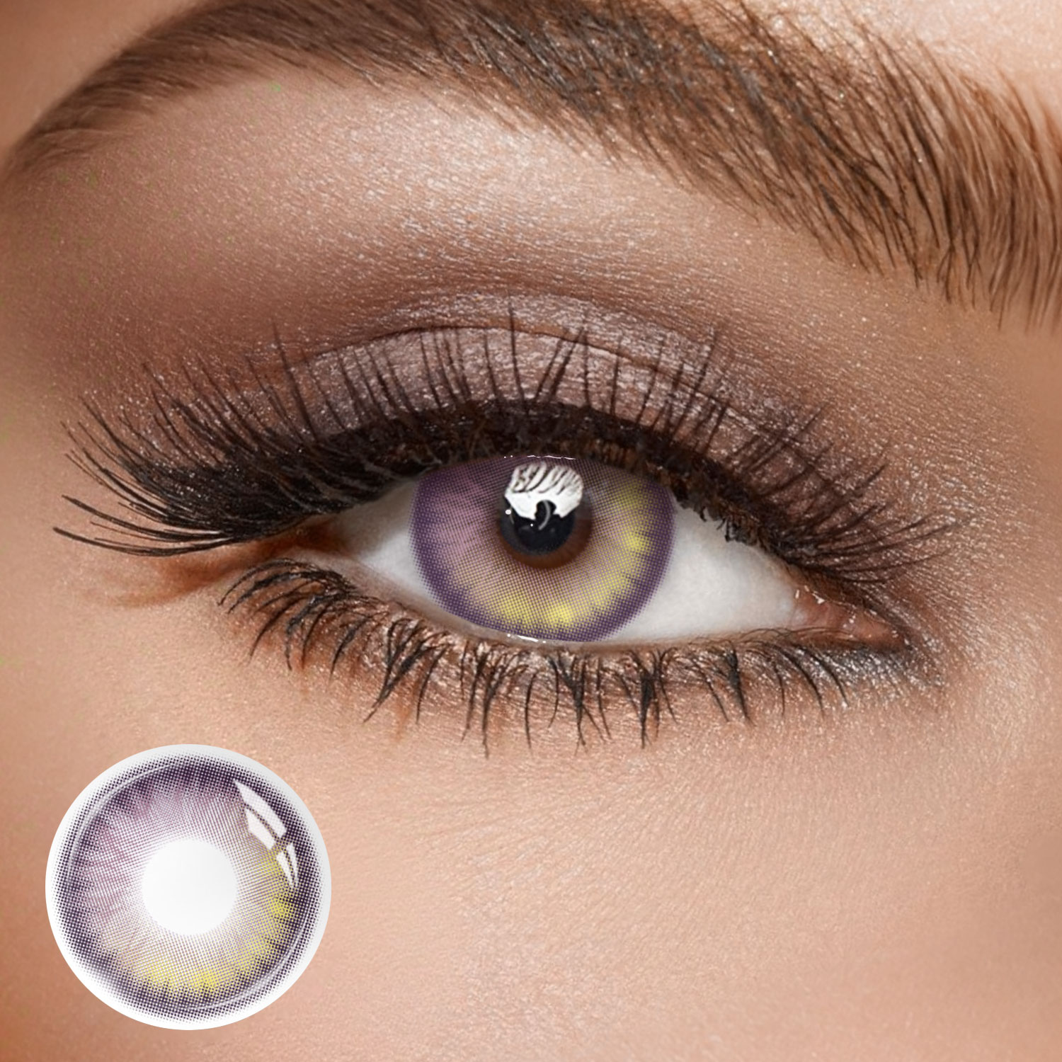 Gloss Purple - 1 Year, 2 lenses