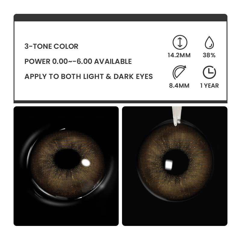 Rome Times Brown - 1 Year, 2 lenses