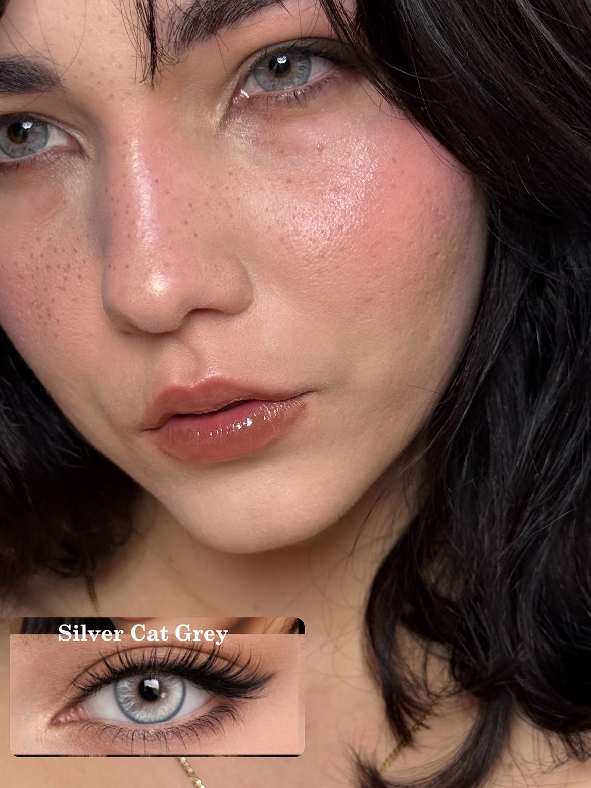 Silver Cat Grey Contact Lenses – 1 Year, 2 Lenses