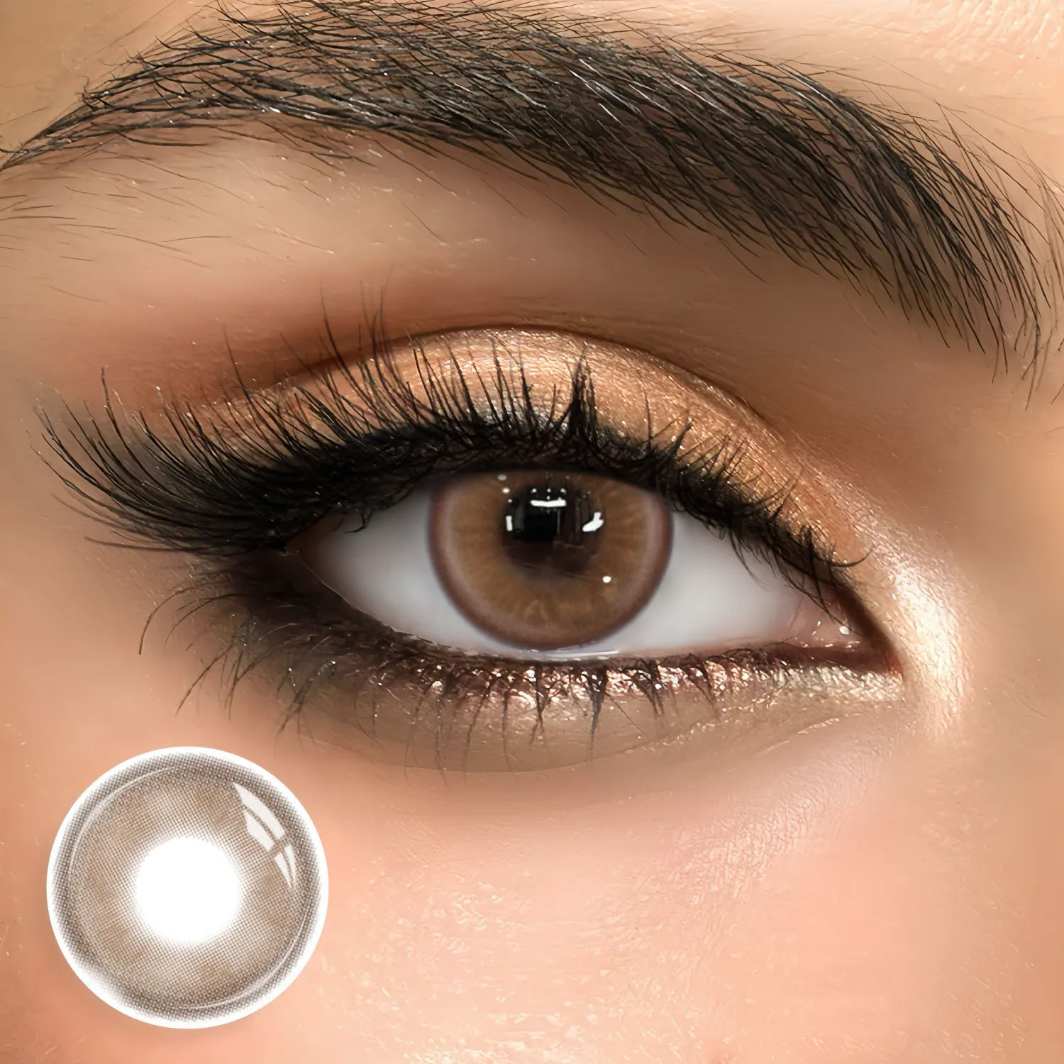 Zephyris Brown - 1 Year, 2 lenses