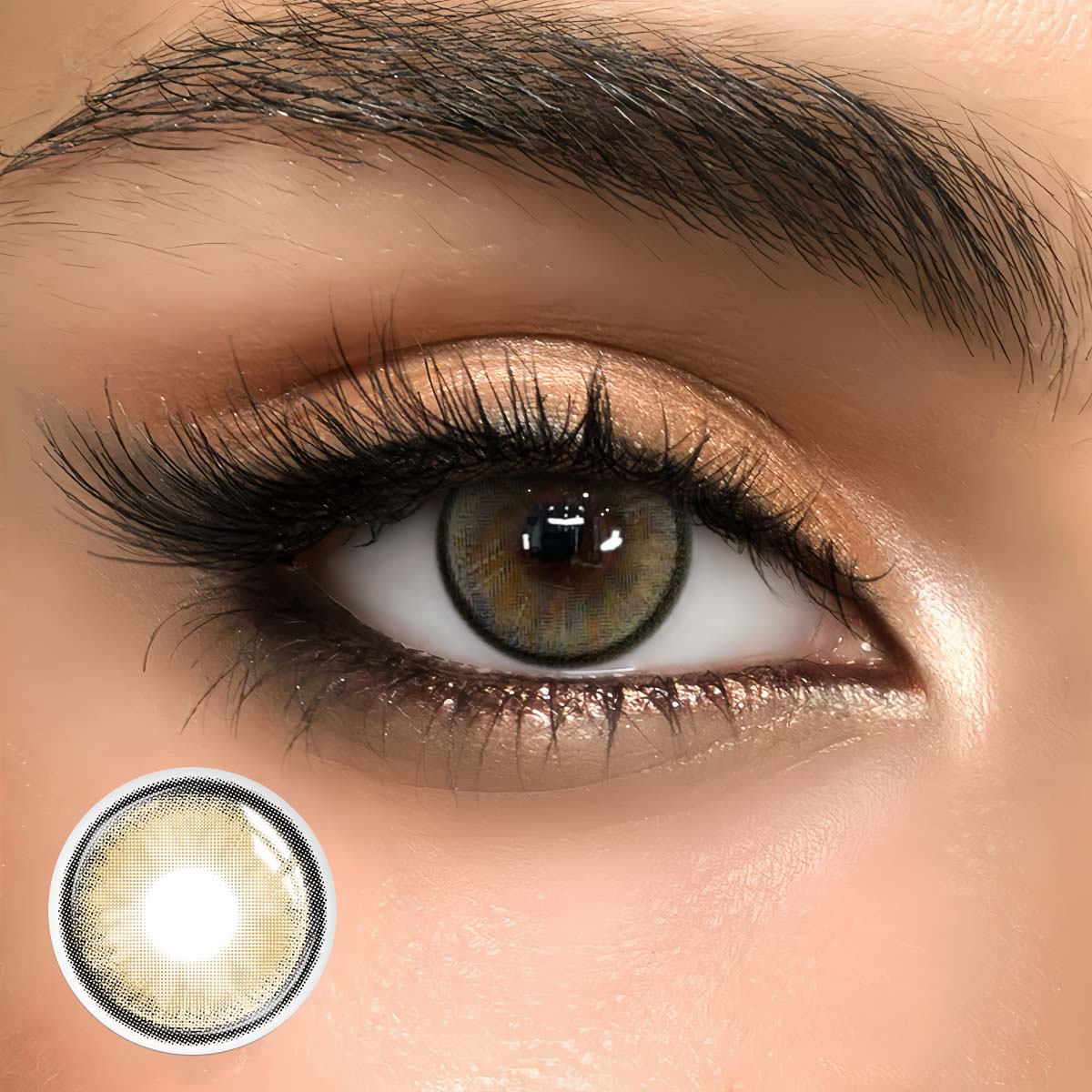 Brizo Brown - monthly, 2 lenses