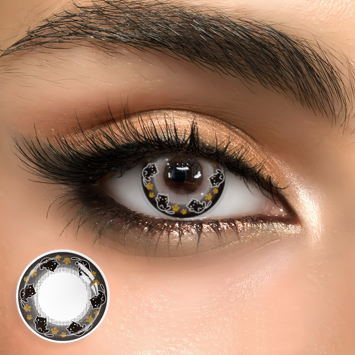 Kitten Luna Style - 1 Year, 2 lenses