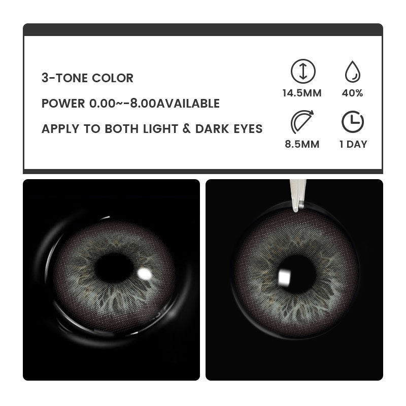 Riyo Grey - 1 Day, 2 lenses