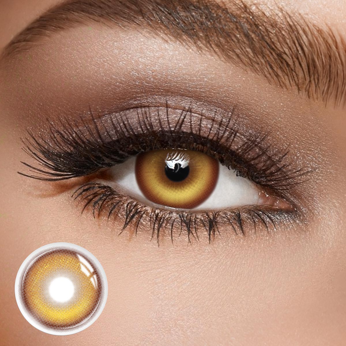 Torchlight Brown - 1 Year, 2 lenses