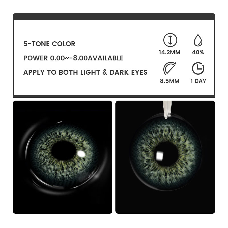 Four-Leaf Whisper - 1 Day, 2 lenses