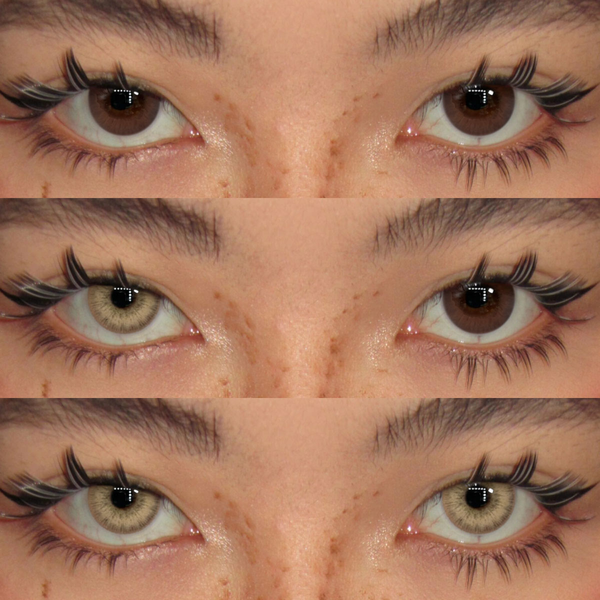 Magic Pop Brown - 1 Year, 2 lenses