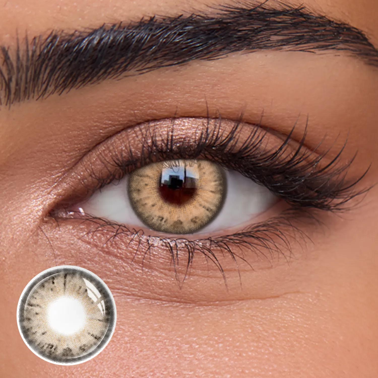 Arcana Brown - 1 Year, 2 lenses