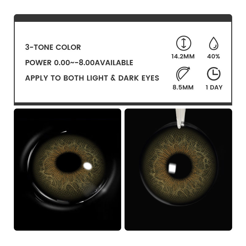 Aroya Hazel - 1 Day, 2 lenses