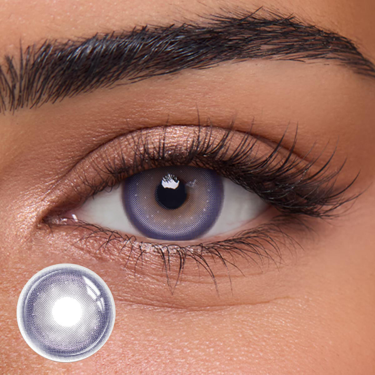 Berrion Purple - 1 Year, 2 lenses