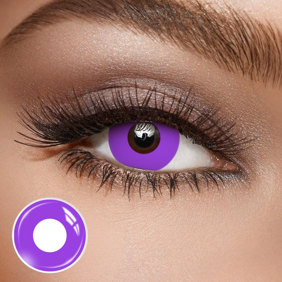 Blank Purple - 1 Year, 2 lenses