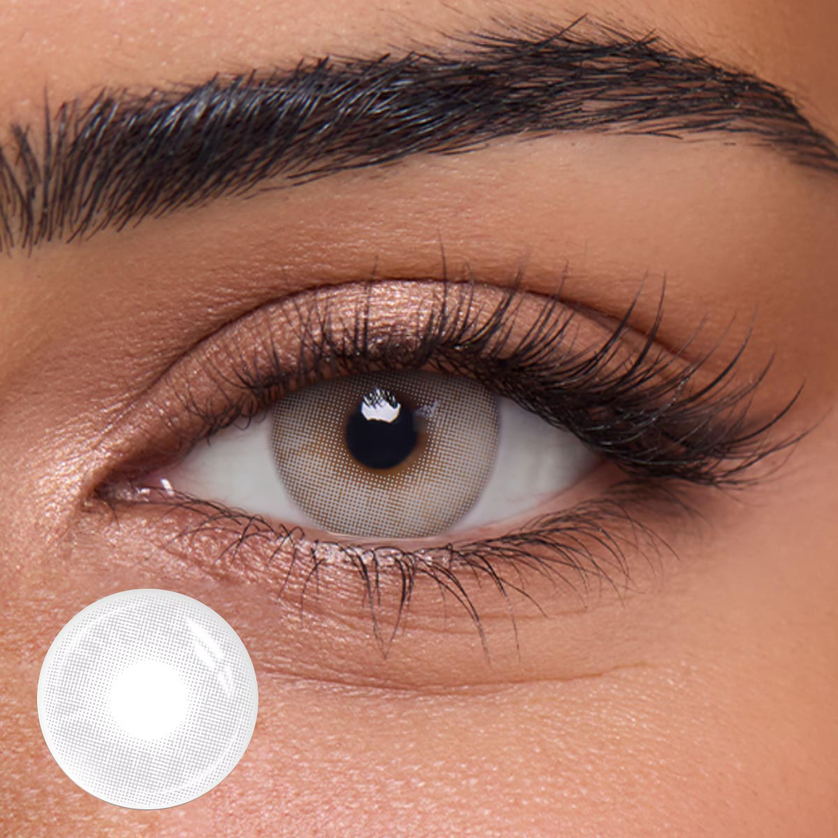 Cinder Grey - 1 Year, 2 lenses