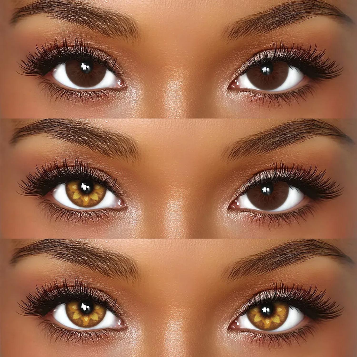 Clovian Brown - 6-month，2 lenses